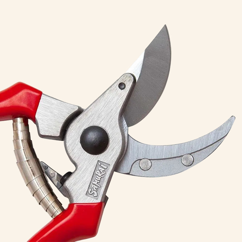Pruning Shear KS-4