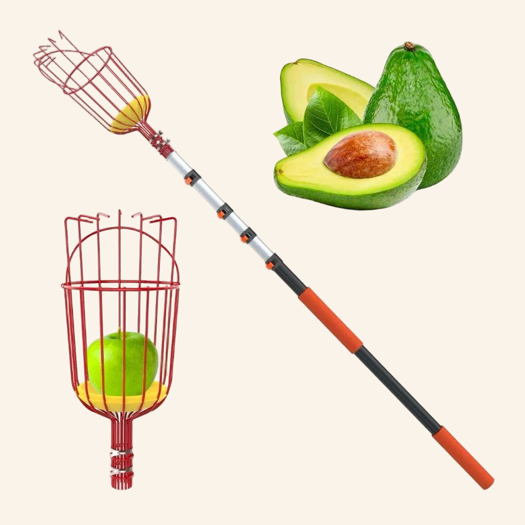 Fruit Picker M3-Orange