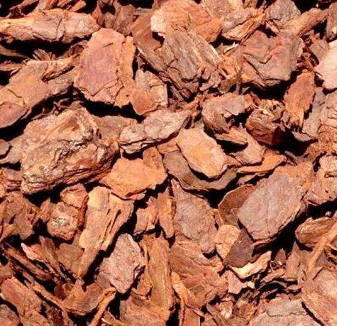 Pine Bark Mulch Pine bark mulch