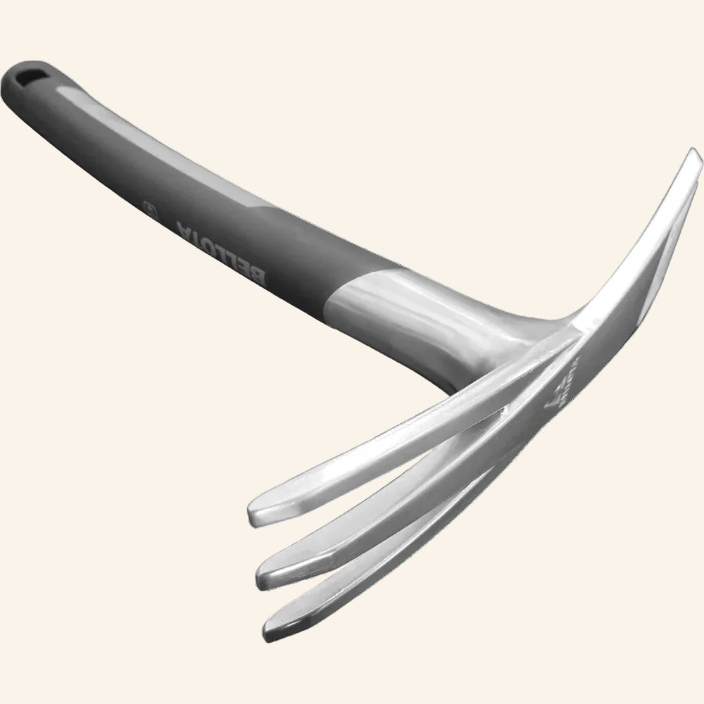 Fork BE 3005