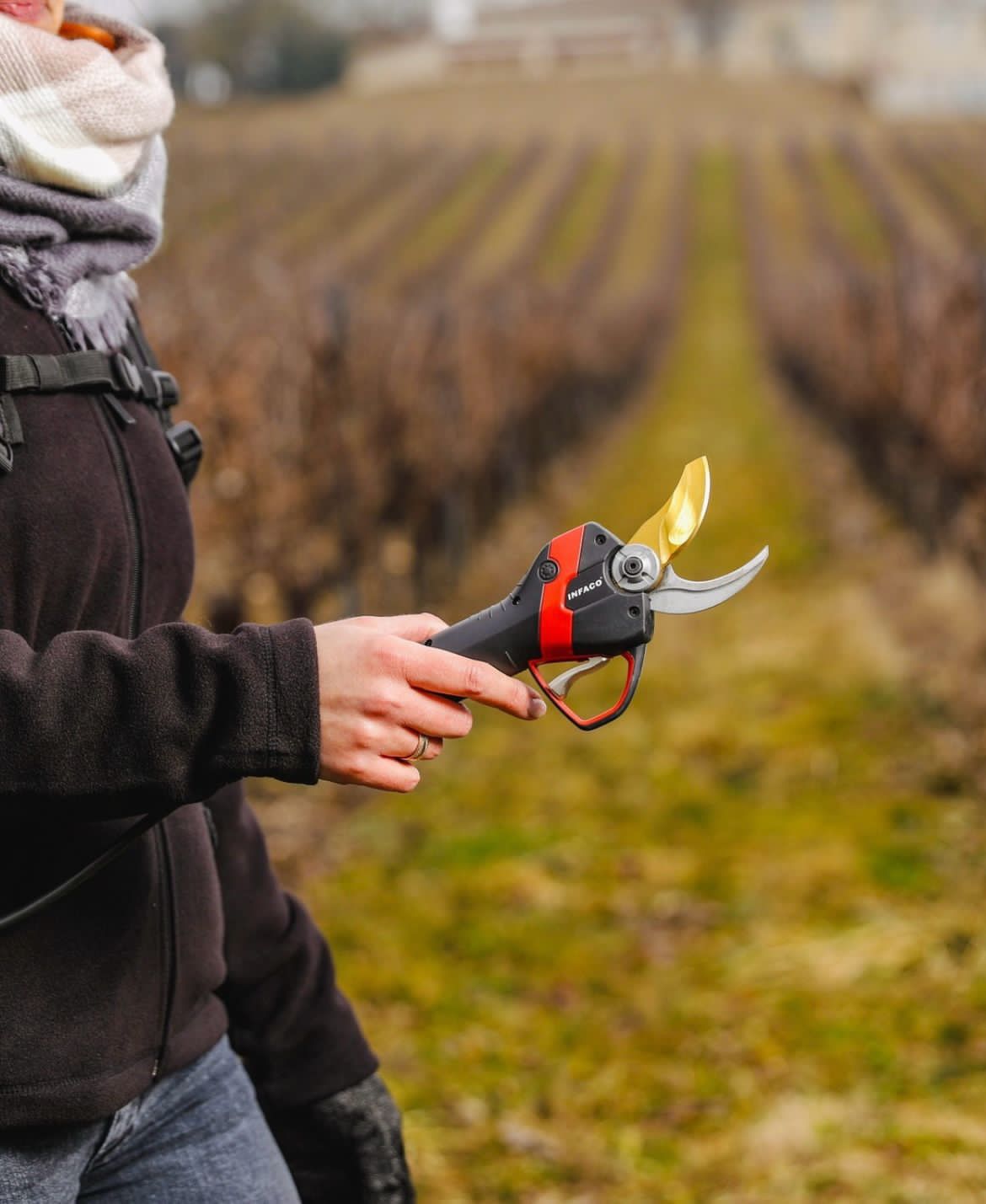 Battery Pruning Saw F3015W
