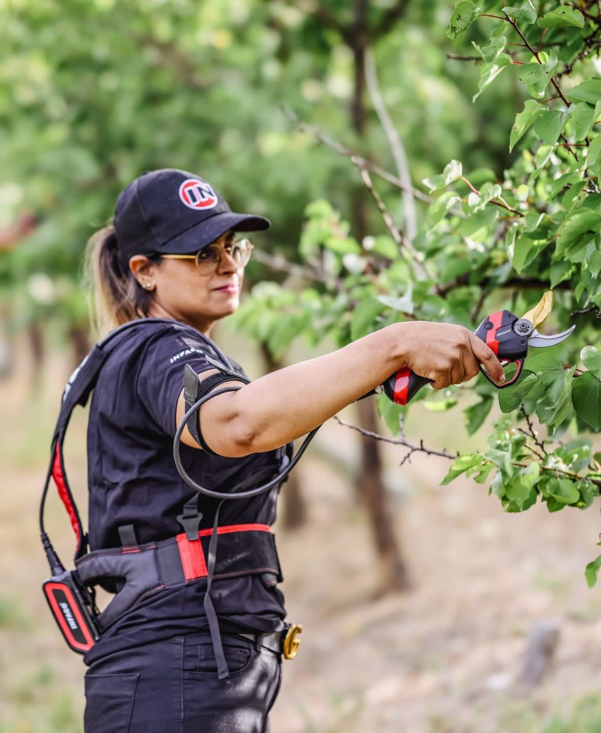Battery Pruning Saw F3015W
