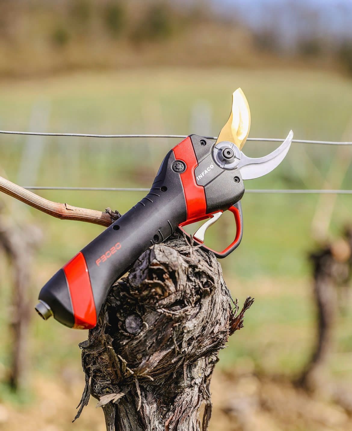 Battery Pruning Saw F3015W