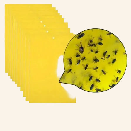 Sticky Aphid Yellow Traps FH-5042